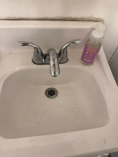 Before cleaning: Dirty sink with visible stains