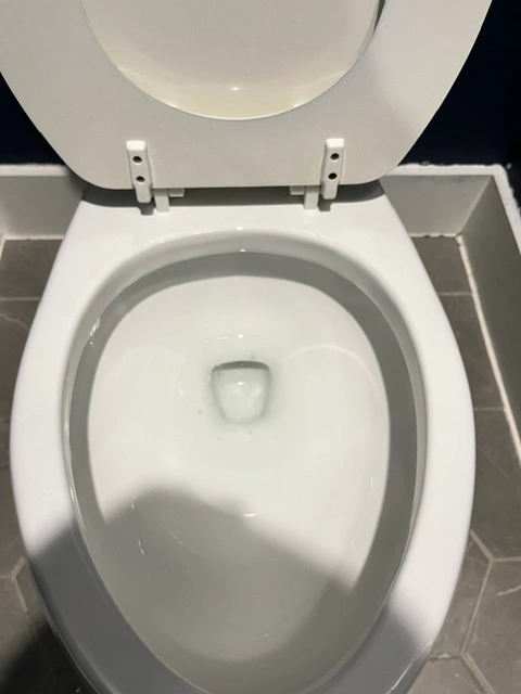 After cleaning: Sparkling clean and sanitized toilet