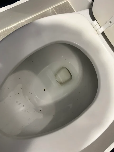 Before cleaning: Dirty toilet with visible stains