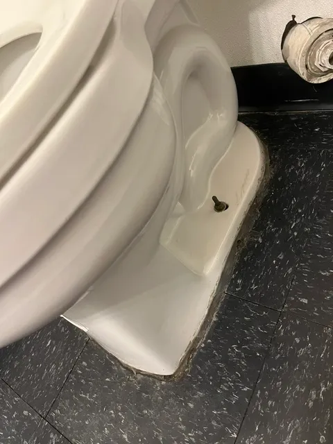 After cleaning: Clean spotless toilet bottom
