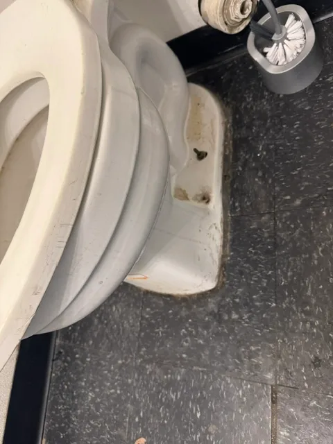 Before cleaning: Dirty stained toilet bottom